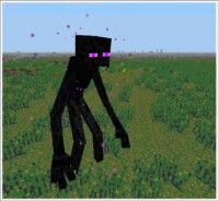 /album/galerie-de-photos/enderman-4-jpg1/